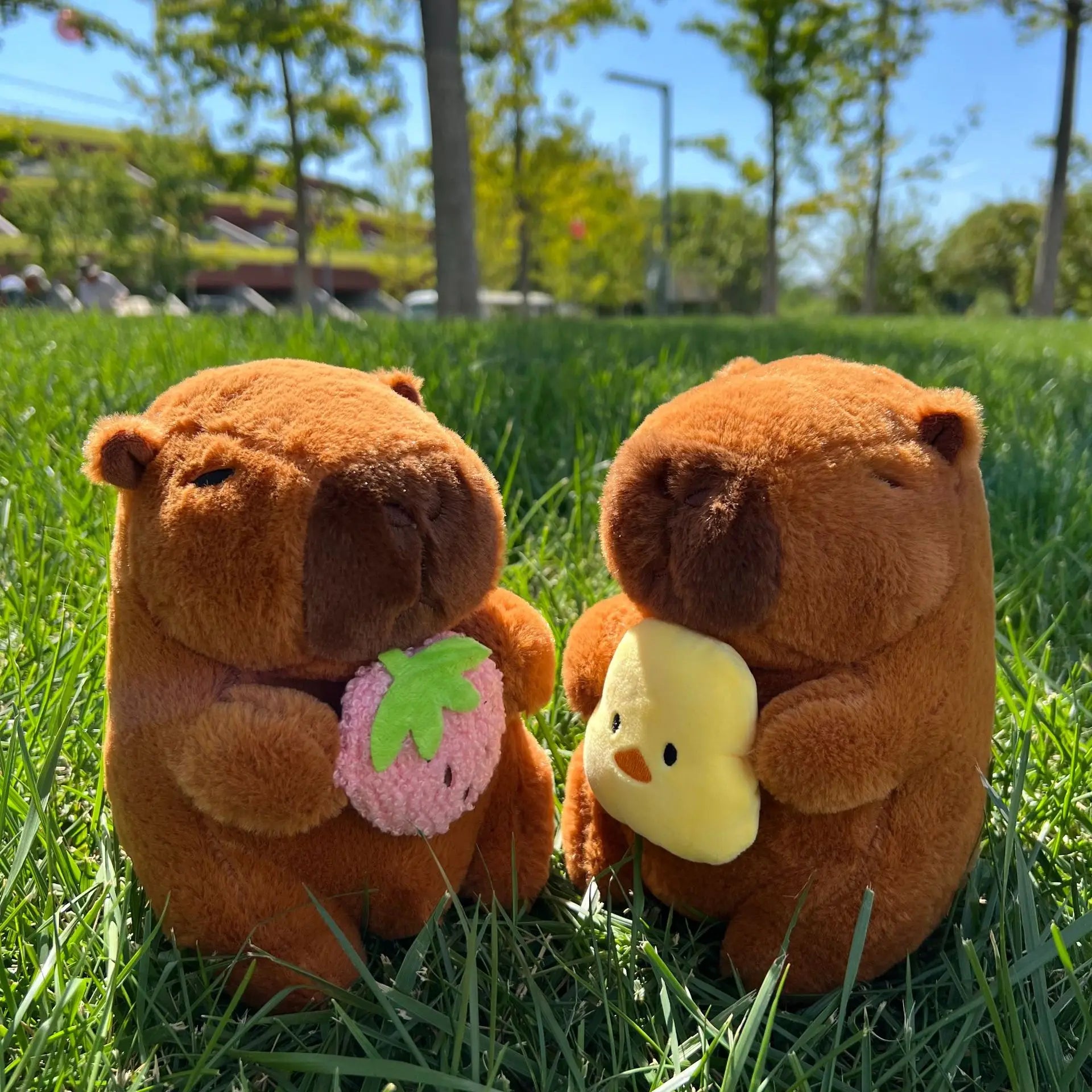 Capybara Plush Toy – 21cm / 23cm Soft Stuffed Animal Doll for Kids, Cute Capibara Birthday & Christmas Gift