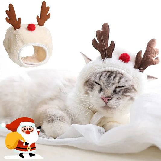 Christmas Pet Costume Set – Santa Hat & Scarf for Cats and Small Dogs | Holiday Dress-Up Outfit