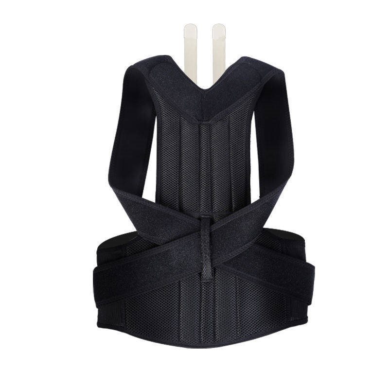 Adjustable Spine Posture Corrector for Men & Women – S to 4XL, Back Support Brace for Pain Relief